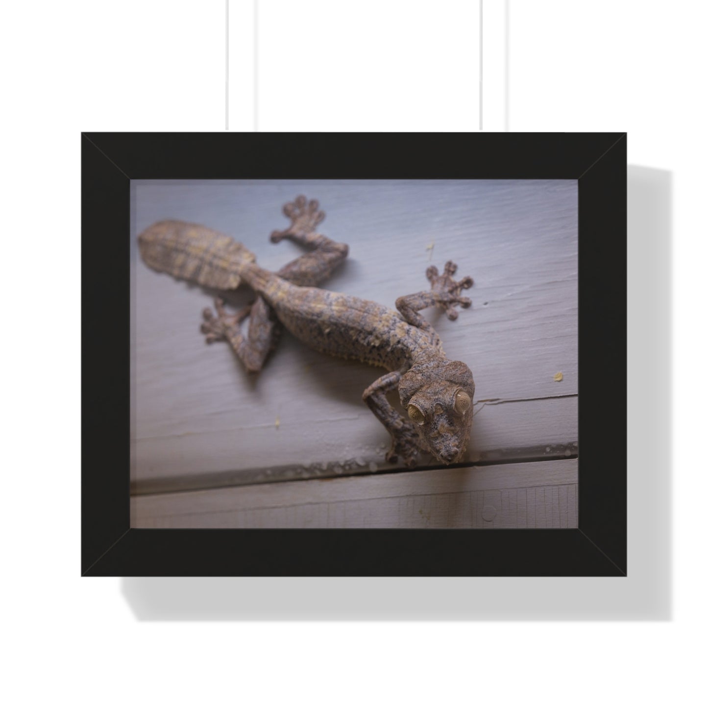 Nature's Camouflage: A Gecko at Rest - Framed Photography Print