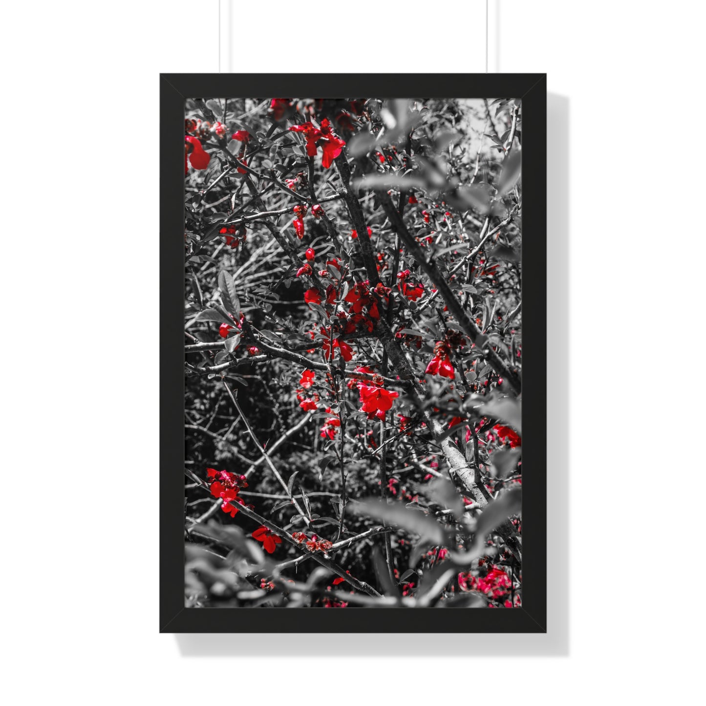 Vertical Poster - Cheekwood Gardens Red Floral Photography Print