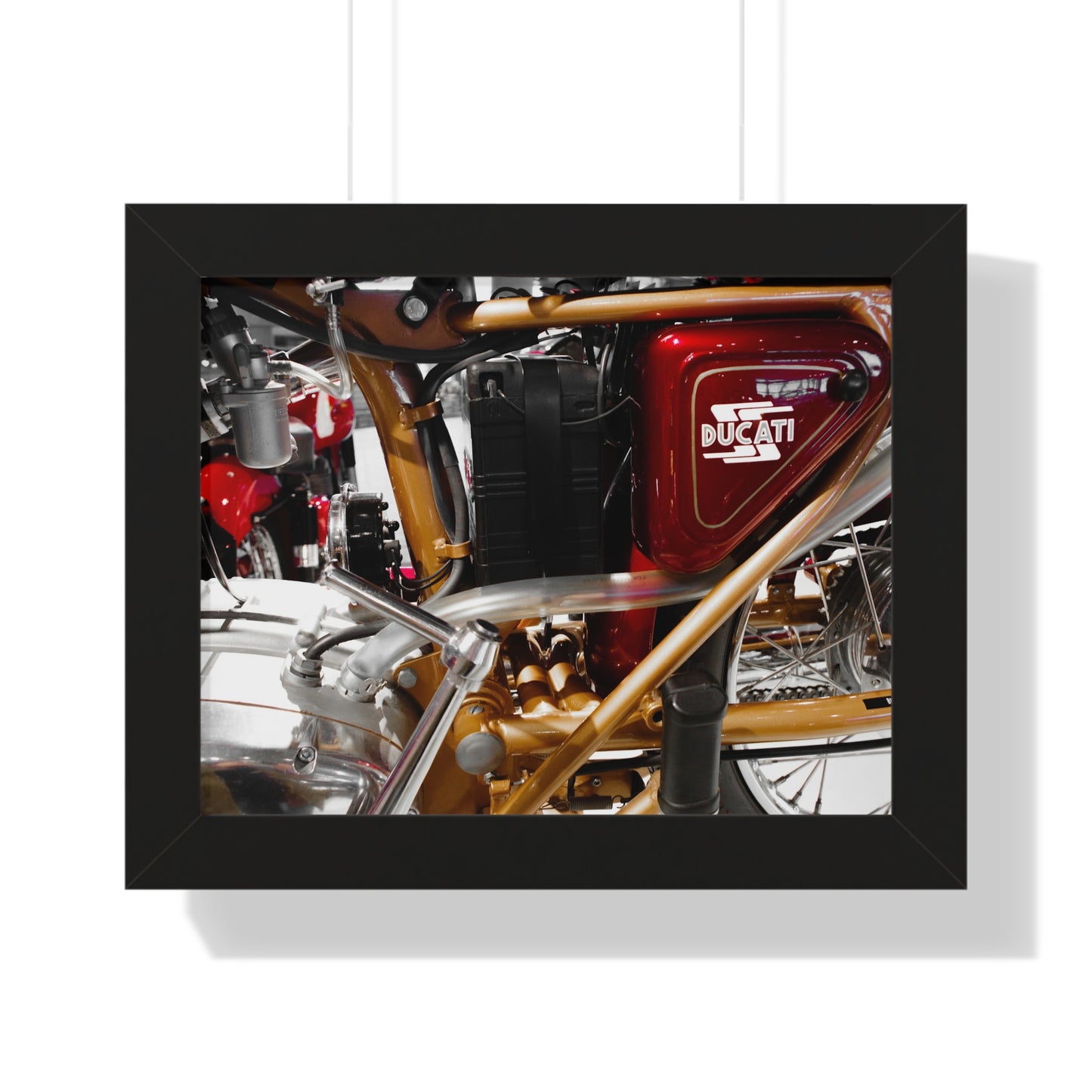 Ducati Motorcycle Photography Wall Art