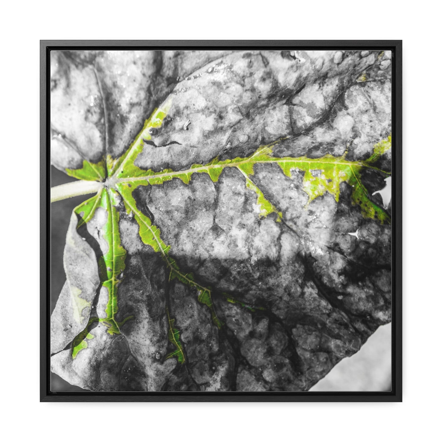 Sloss Furnaces: Fallen Leaf - Canvas Print