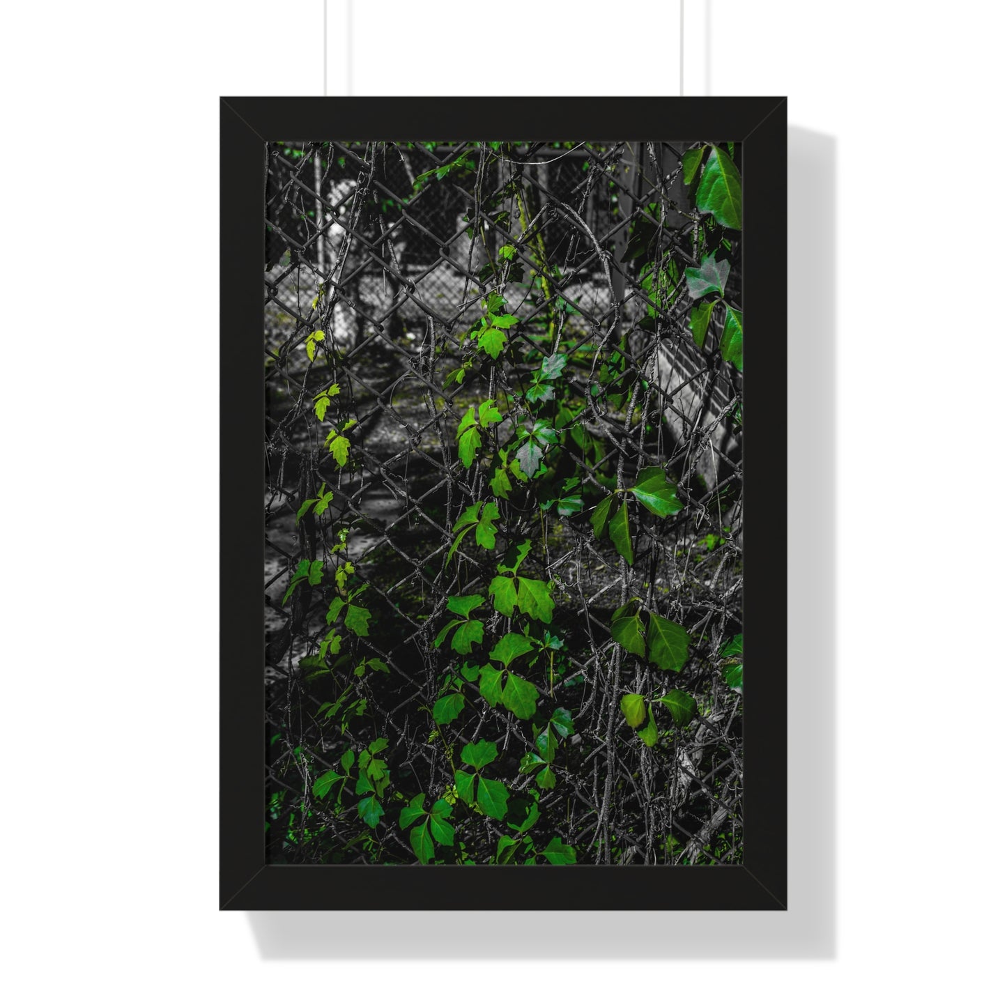 Sloss Furnaces: Vines and Iron - Framed Print