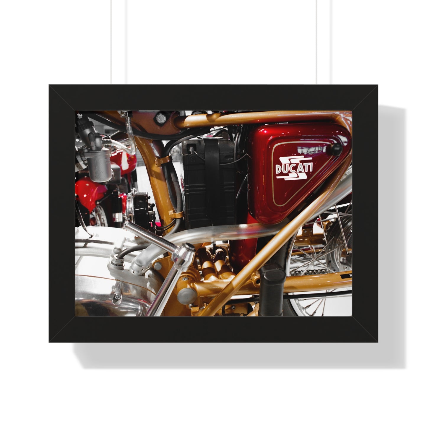 Ducati Motorcycle Photography Wall Art