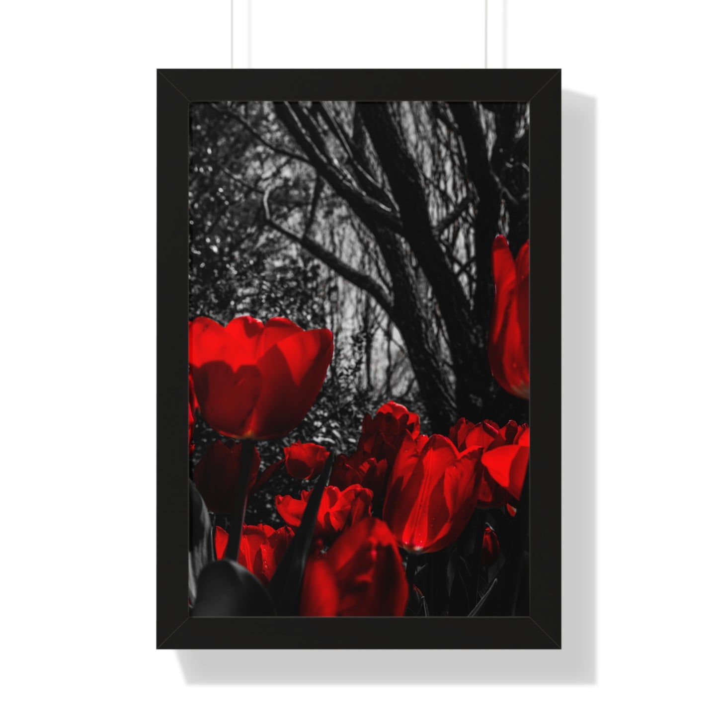 Cheekwood Estate: Blooming Flowers -  Framed Print