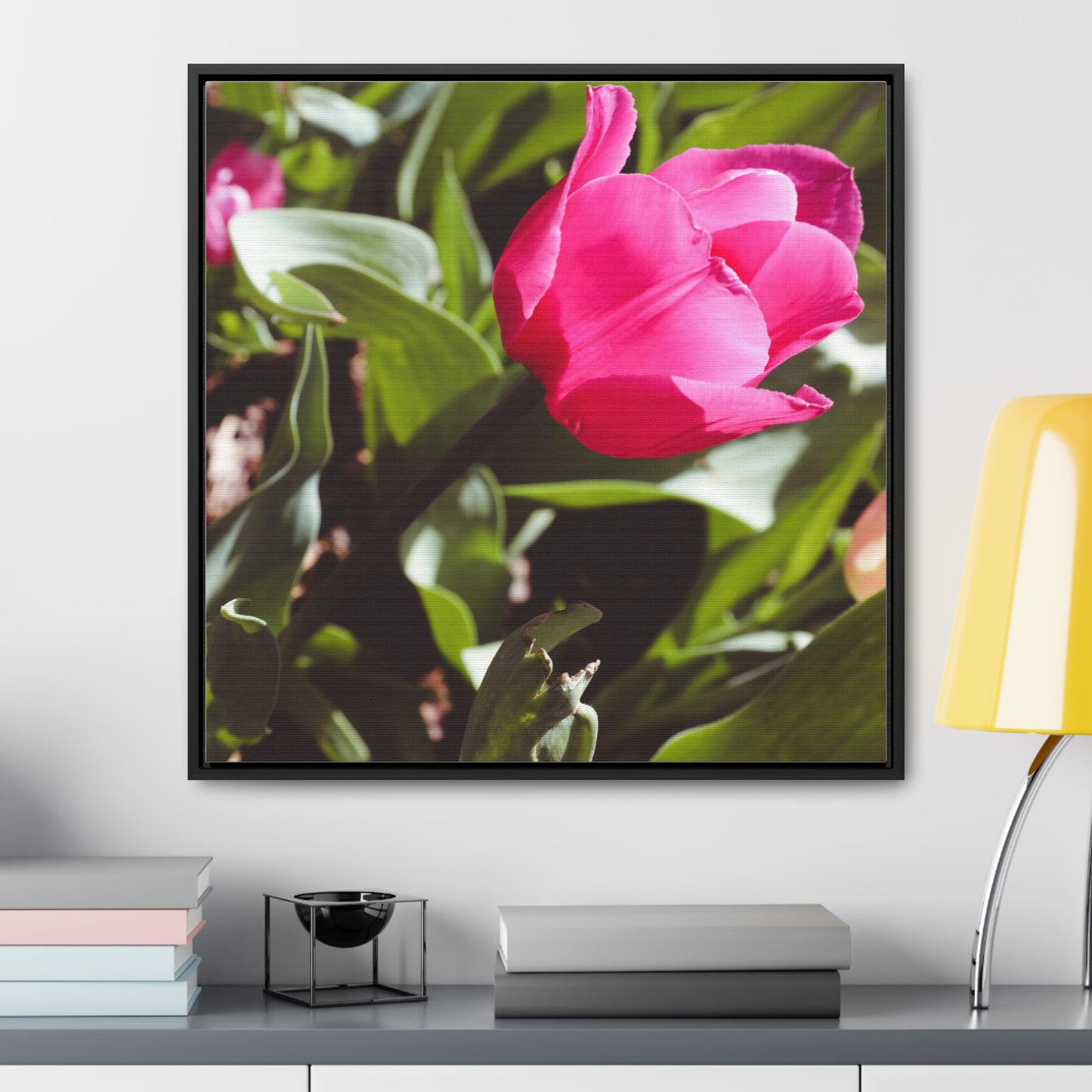 Elegant Pink Tulip at Cheekwood Gardens - Framed Canvas Prin