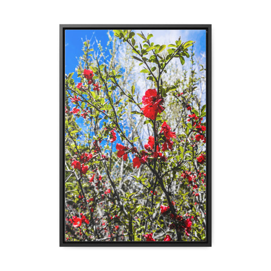 Cheekwood Gardens Blue Sky Home Décor Photography Print