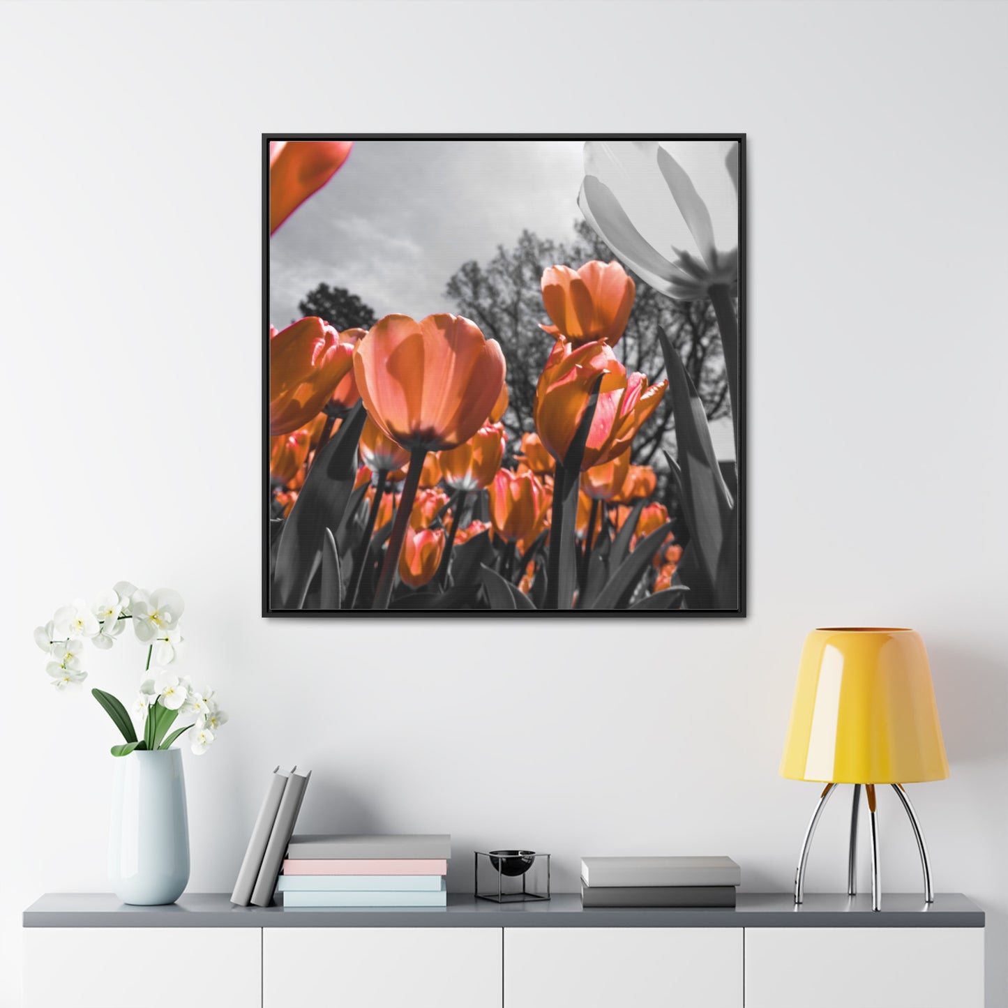 Radiant Peach Tulips at Cheekwood Gardens - Framed Canvas Print