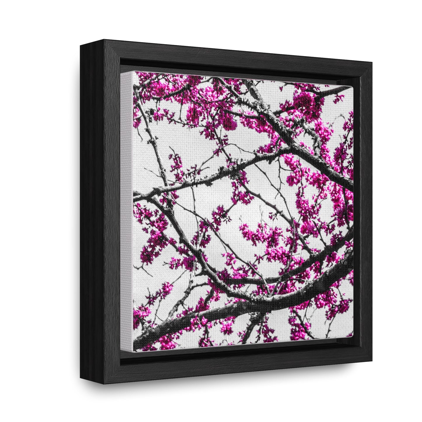 Cheekwood Gardens Land of Purple Home Décor