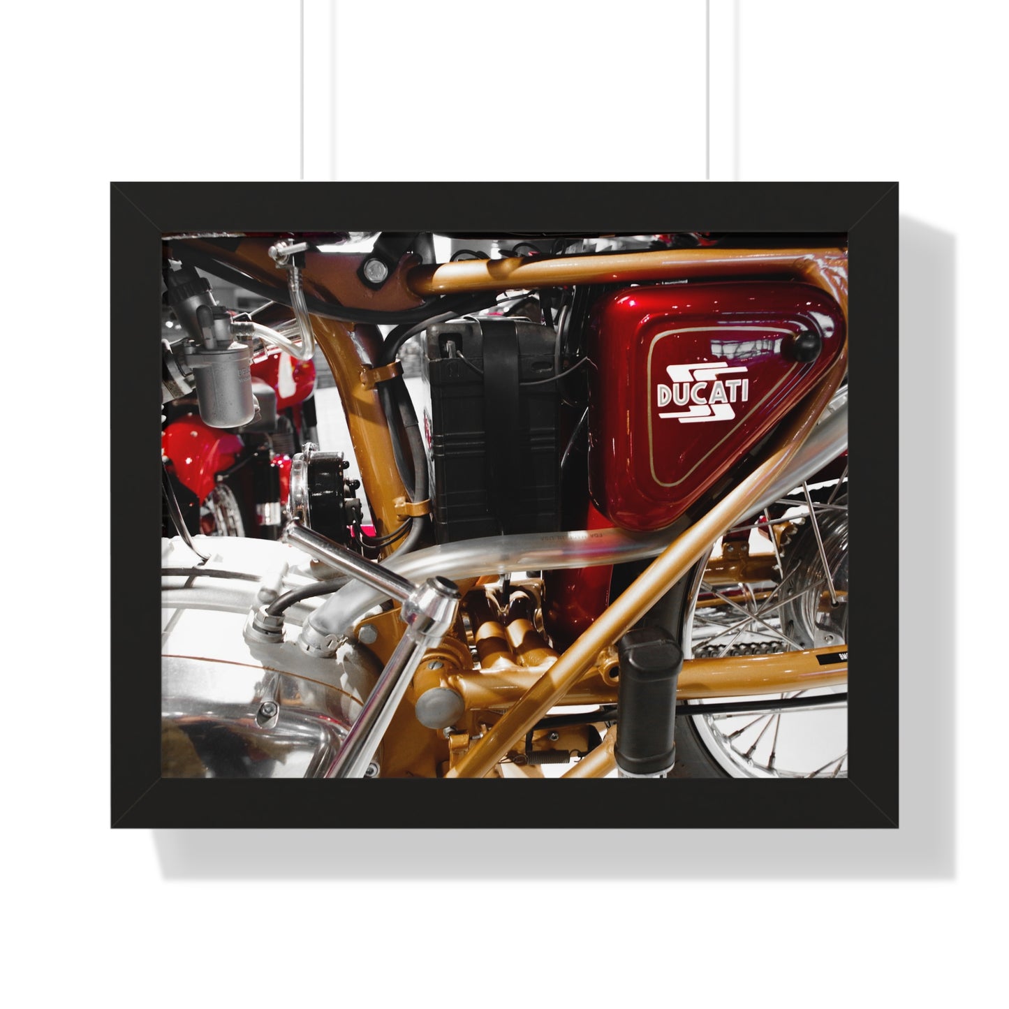Ducati Motorcycle Photography Wall Art