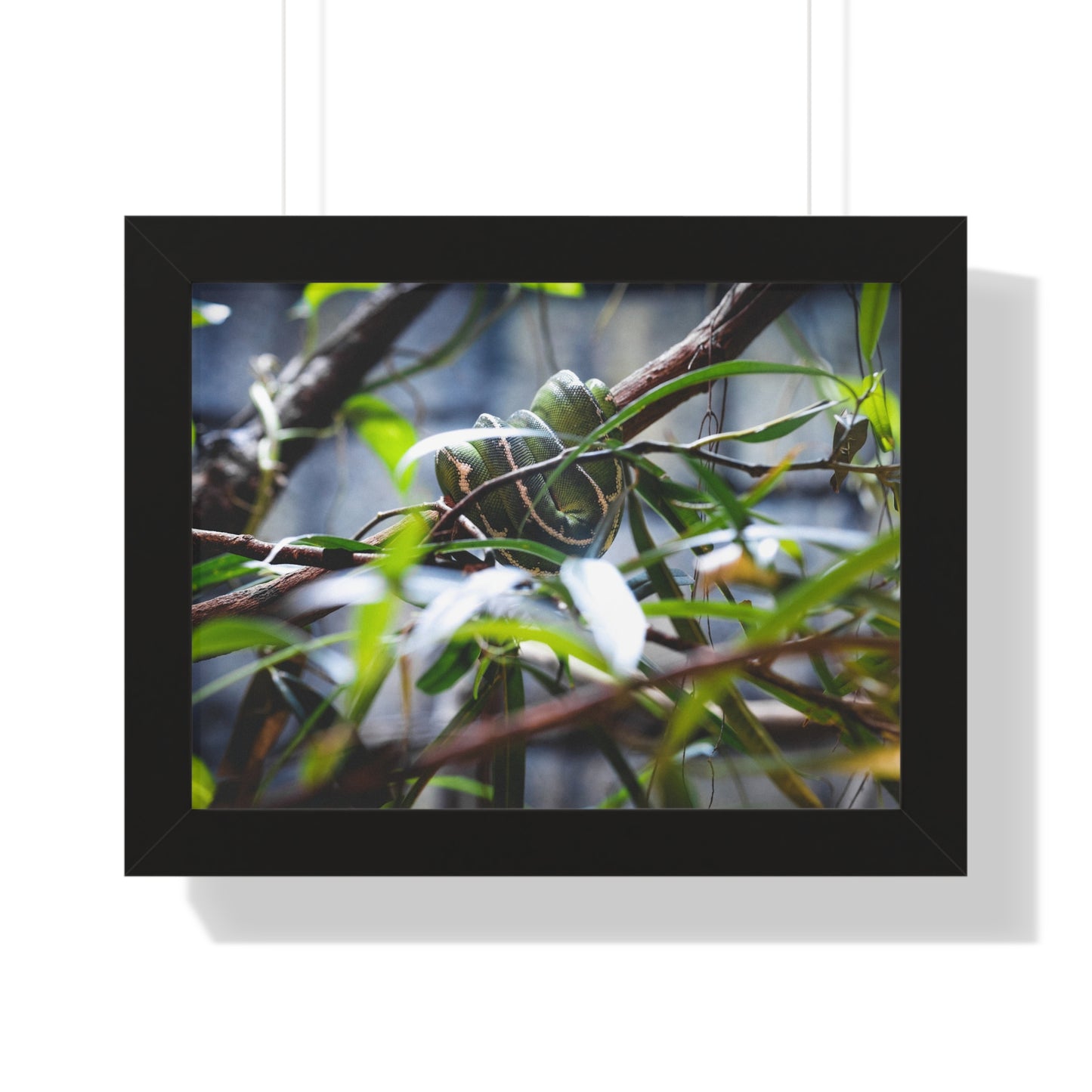 Hidden Beauty: A Serpent Amongst the Foliage - Framed Photography Print