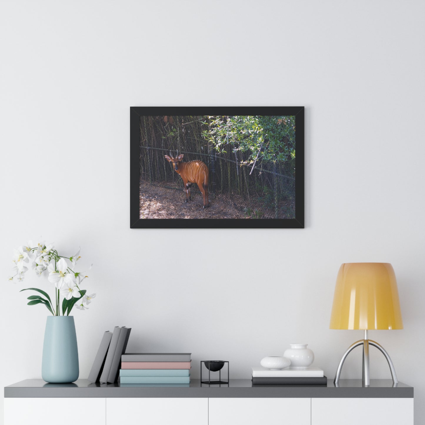 Graceful Presence: A Bongo  - Framed Photography Print