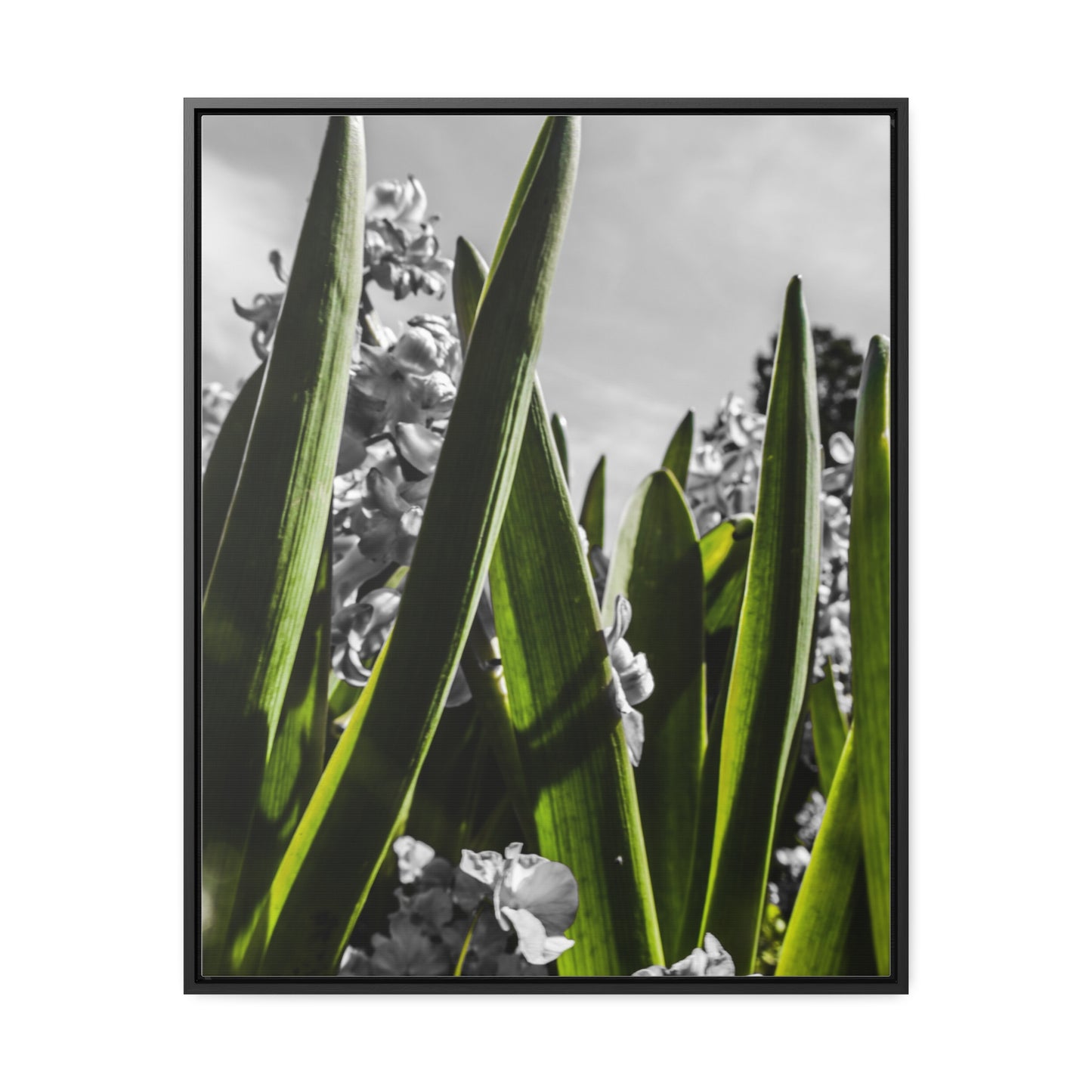 Cheekwood Gardens Green Stems Home Décor Photography Print