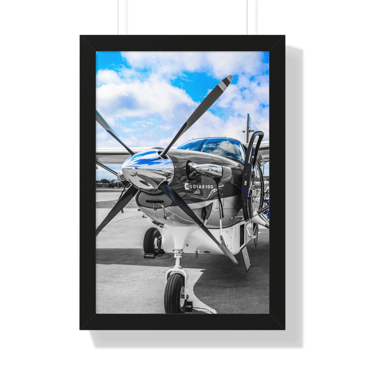 Kodiak Majesty: Airplane - Framed Photography Print