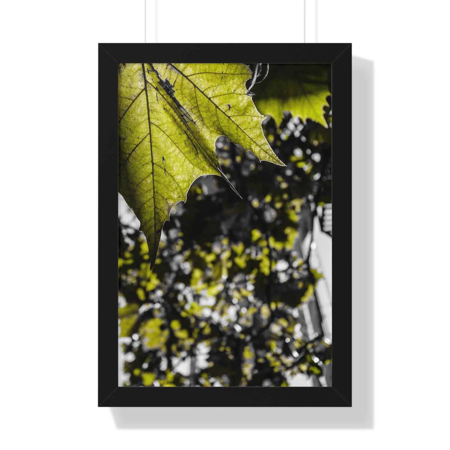 Sloss Furnaces: Nature's Embrace - Close-Up of Leaves - Framed Print