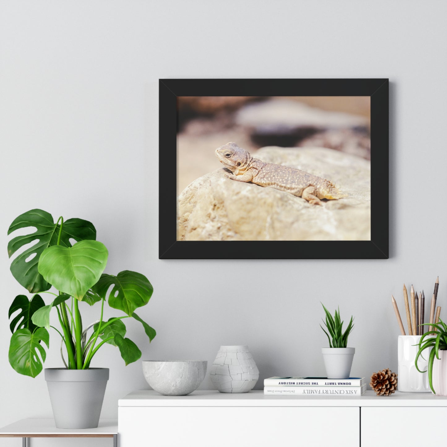 Sun-Kissed Serenity: A Lizard on a Rock - Framed Photography Print