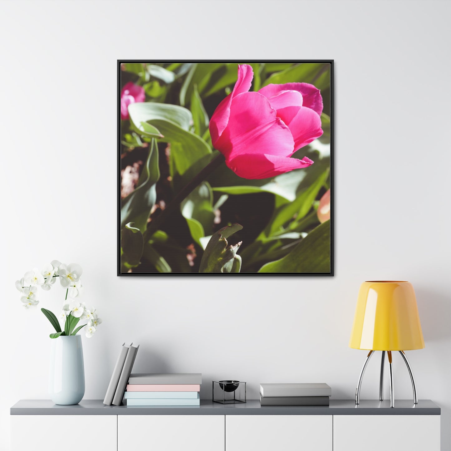 Elegant Pink Tulip at Cheekwood Gardens - Framed Canvas Prin