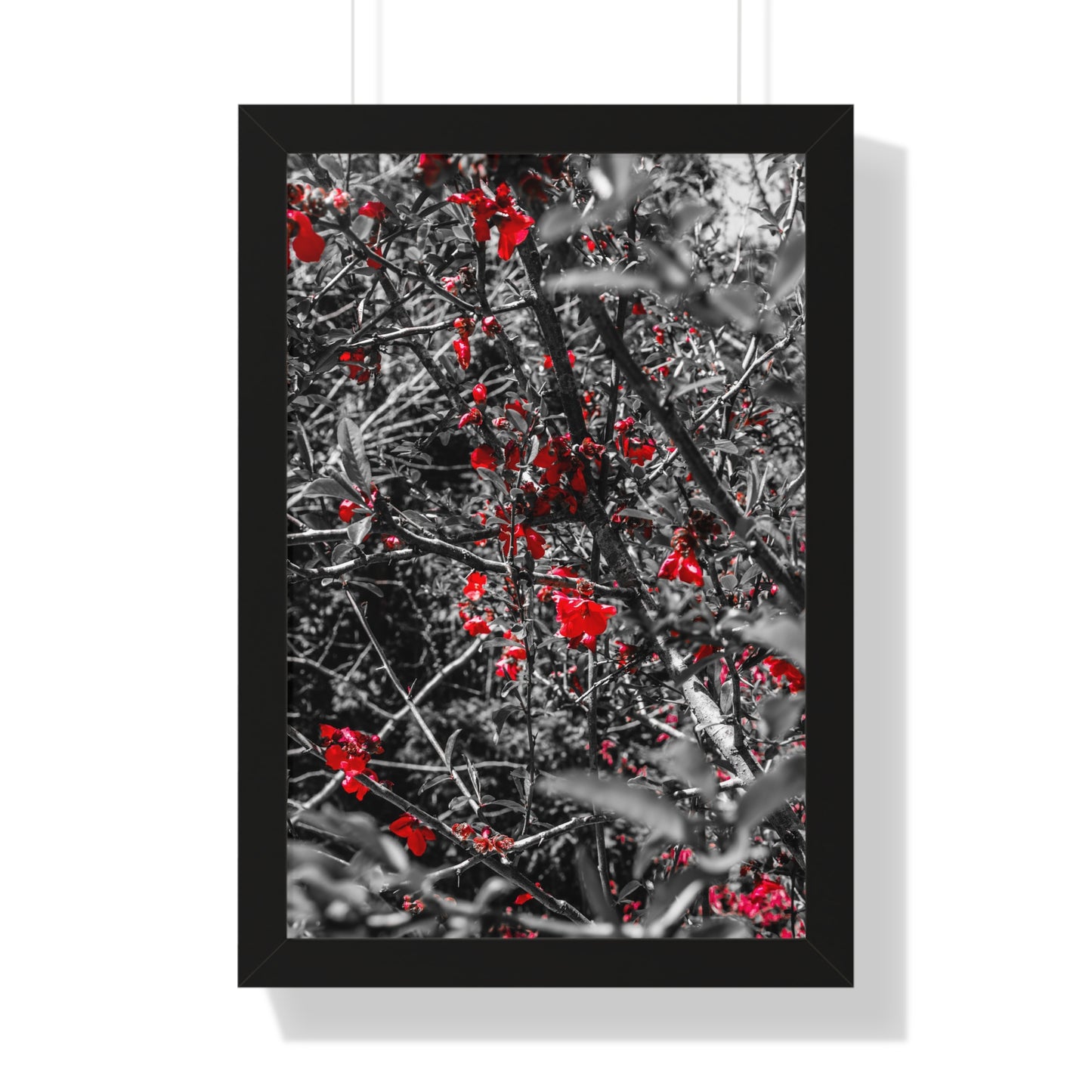 Vertical Poster - Cheekwood Gardens Red Floral Photography Print