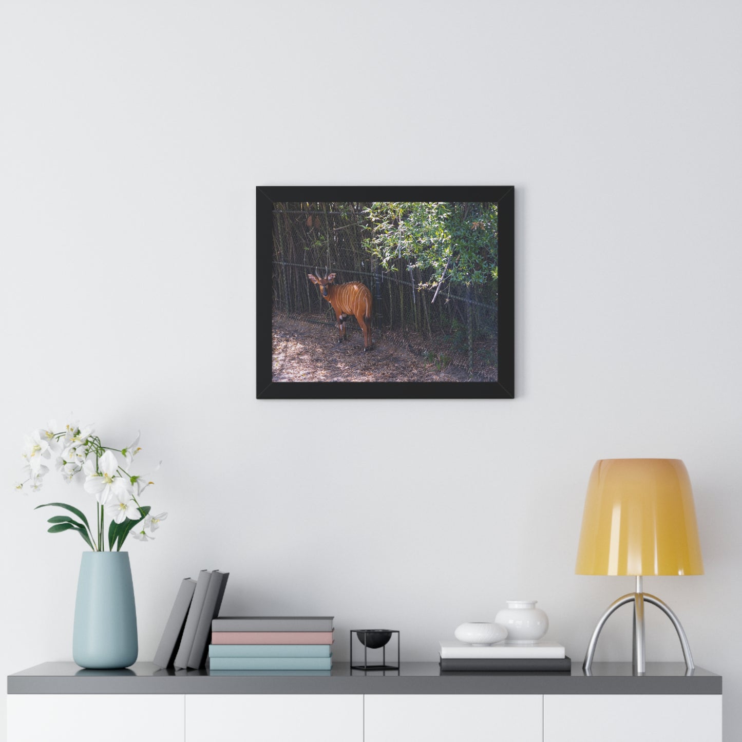 Graceful Presence: A Bongo  - Framed Photography Print