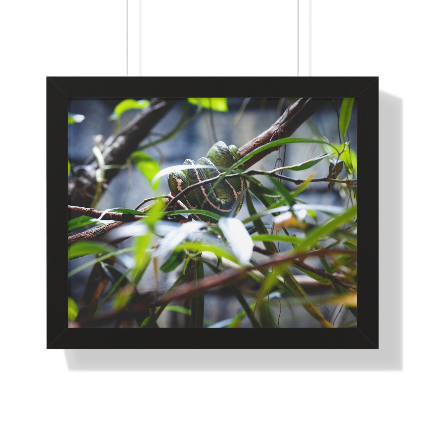 Hidden Beauty: A Serpent Amongst the Foliage - Framed Photography Print