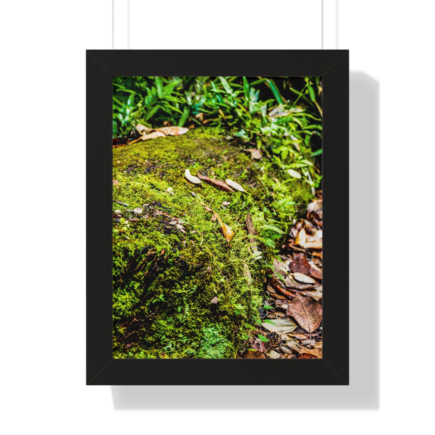 Mossy Fallen Tree in Nature Photography Print