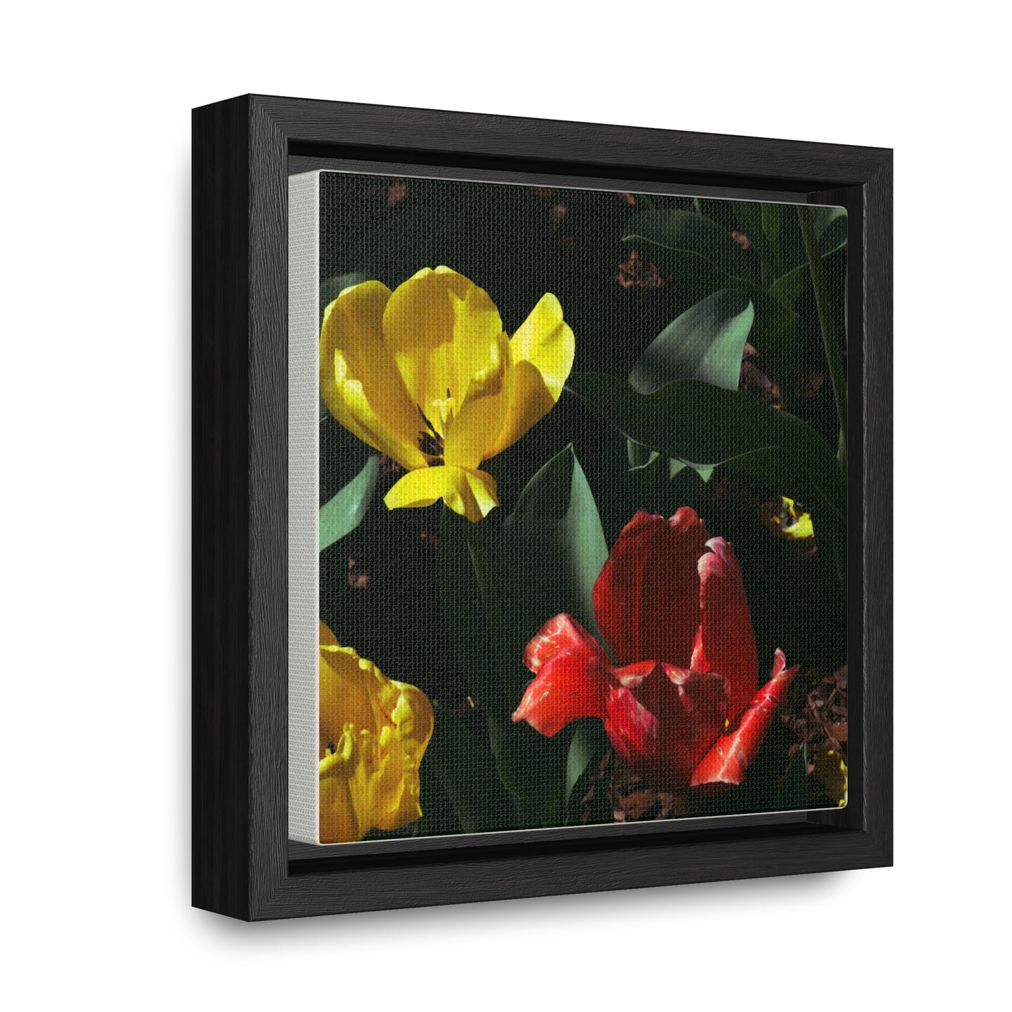 Vibrant Tulips at Cheekwood Gardens - Framed Canvas Print