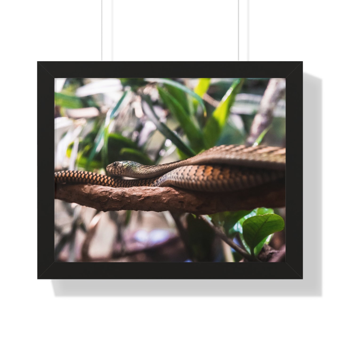 Serpentine Grace: A Snake Among the Foliage - Framed Photography Print