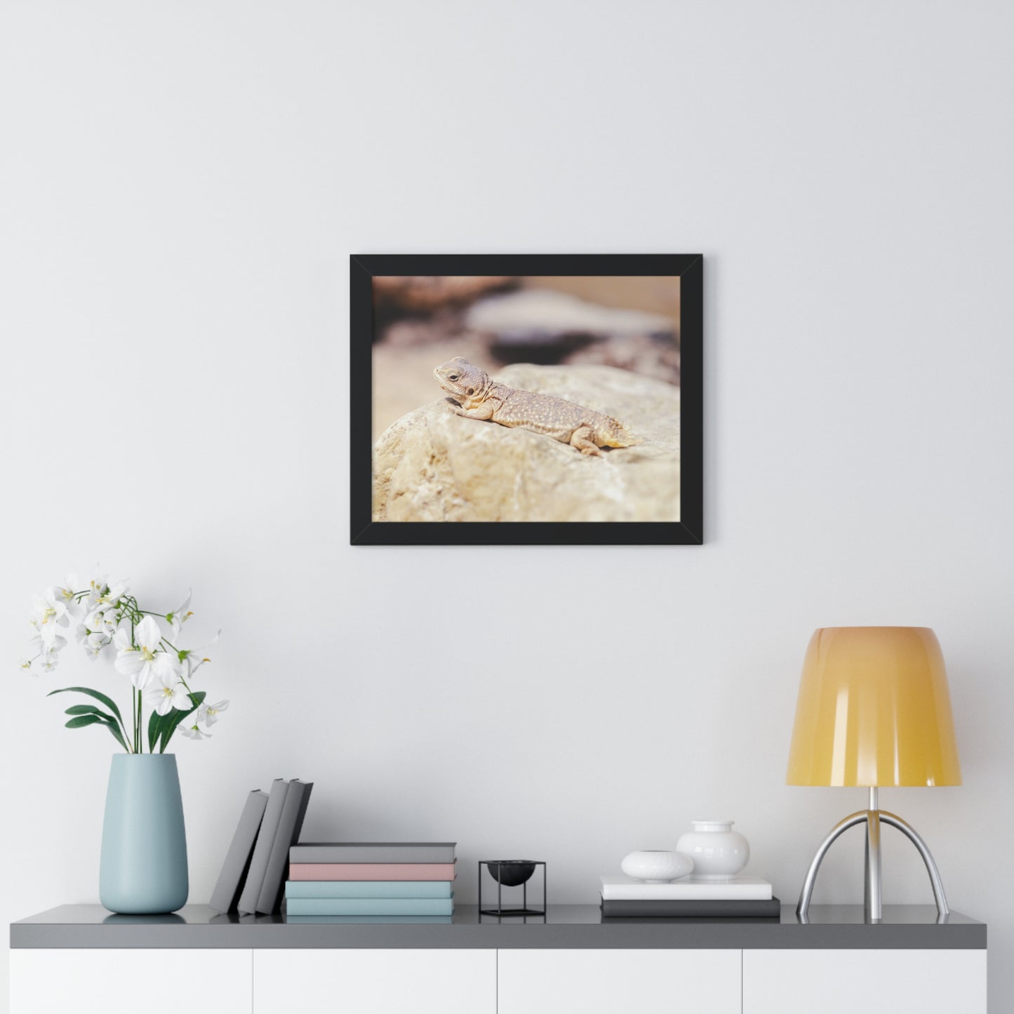 Sun-Kissed Serenity: A Lizard on a Rock - Framed Photography Print