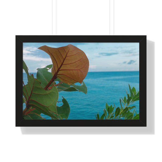 Lush Serenity: Tropical Plant at The Caves, Jamaica - Framed Photography Print
