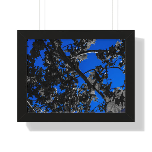 Sloss Furnaces: Leaves of Resilience - Framed Print