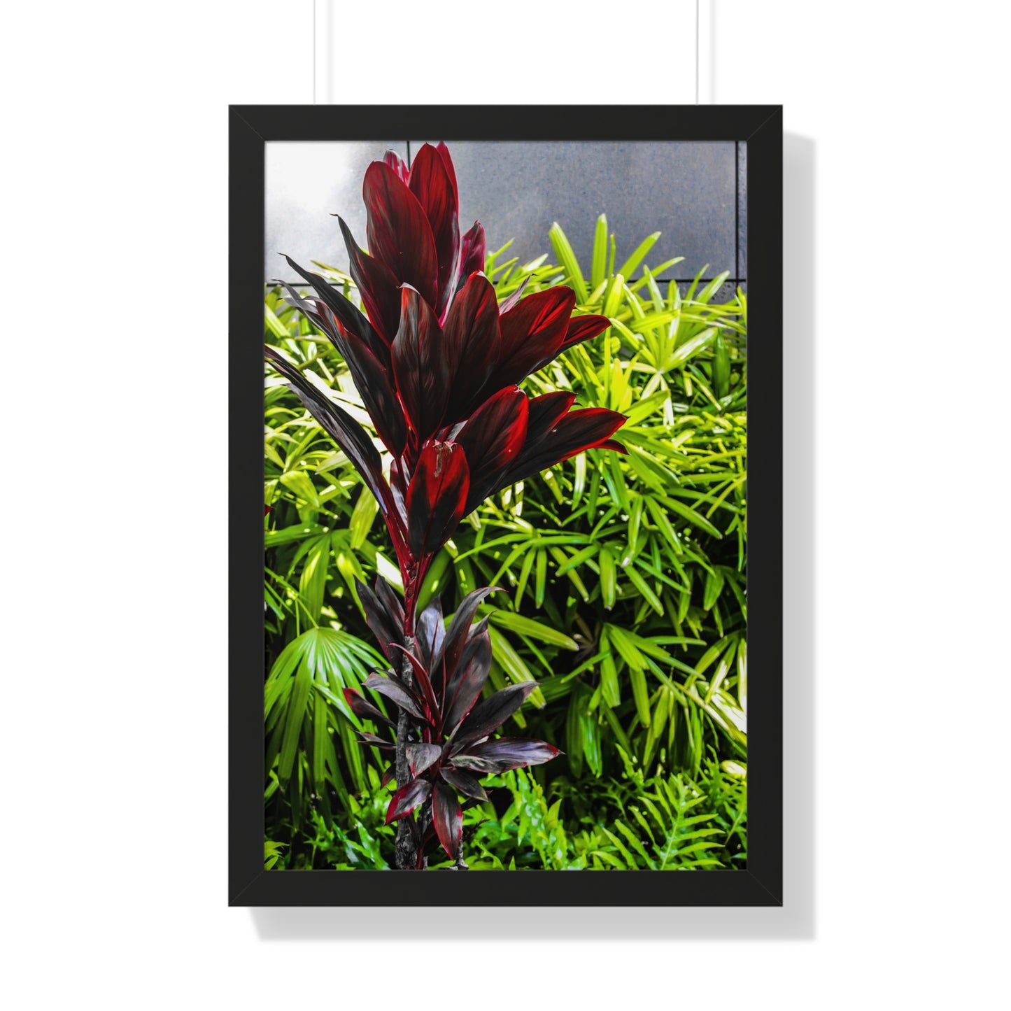 Tropical Elegance: Vibrant Hawaiian Plant - Photography Print