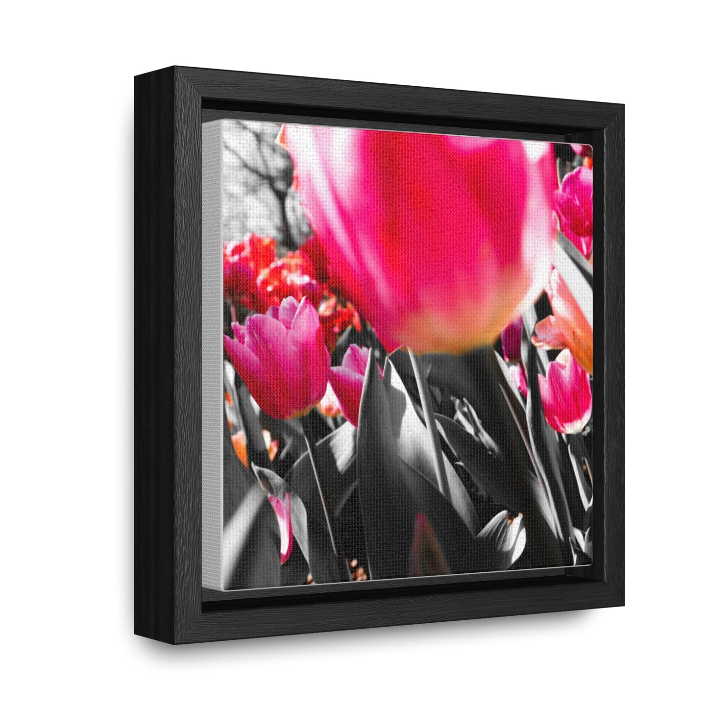 Cheeckwood Gardens Pink Blooms Photography Print