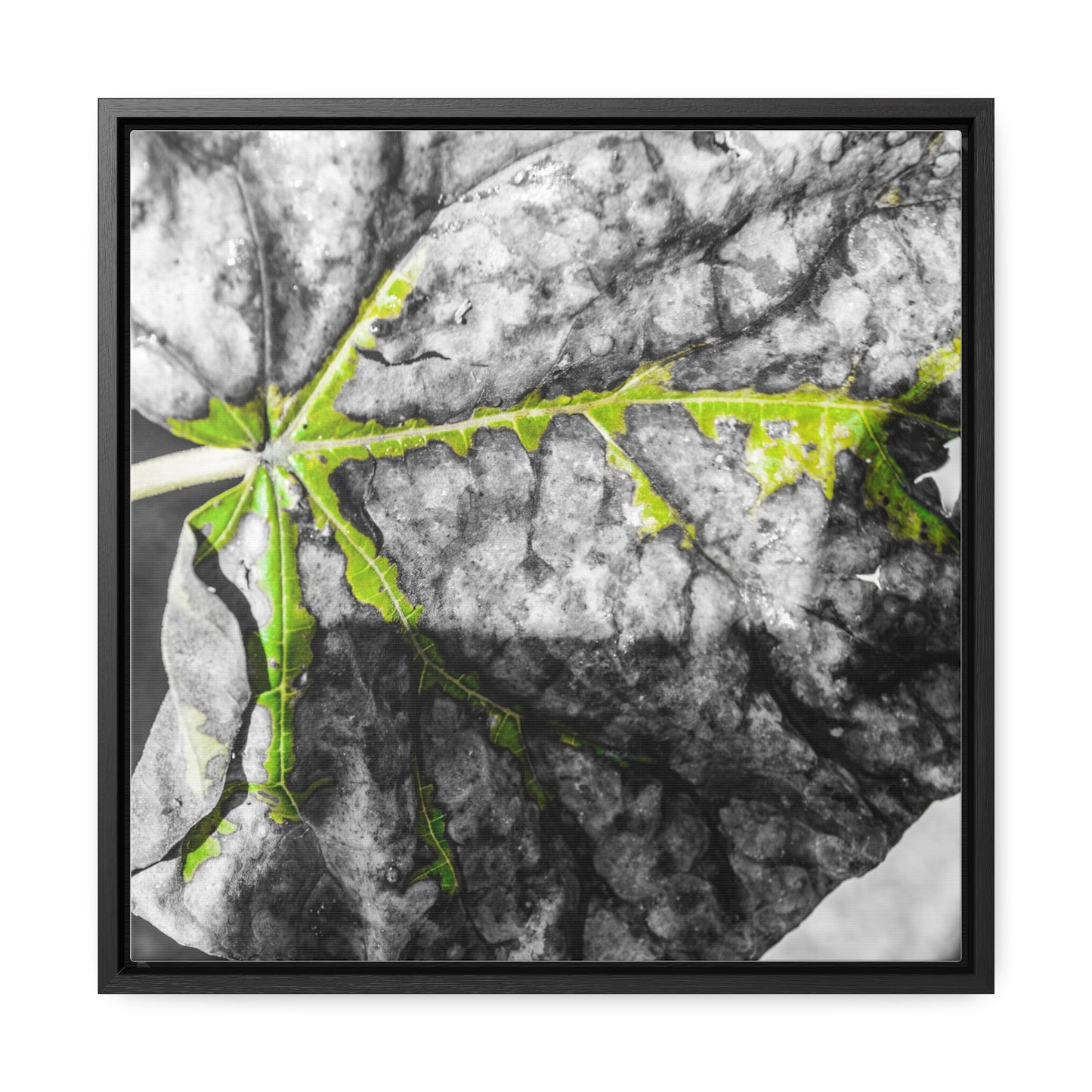 Sloss Furnaces: Fallen Leaf - Canvas Print