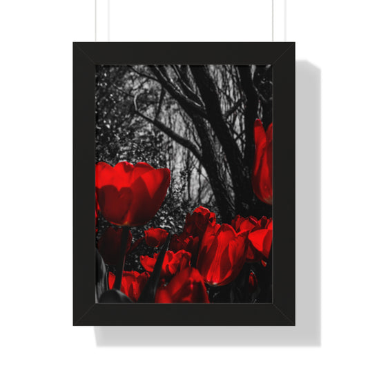 Cheekwood Estate: Blooming Flowers -  Framed Print