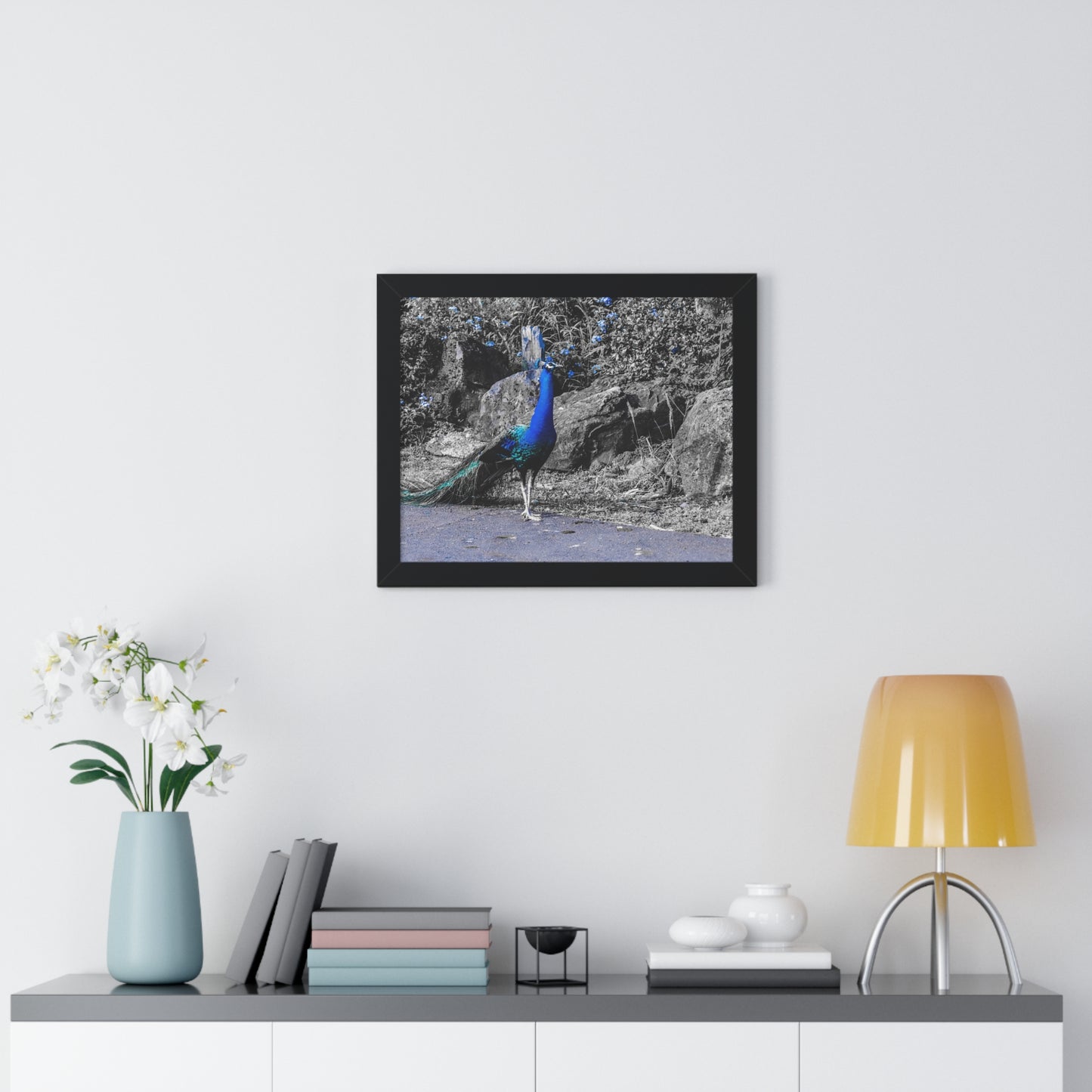 Majestic Peacock: Tropical Stroll in Hawaii - Framed Photography Print
