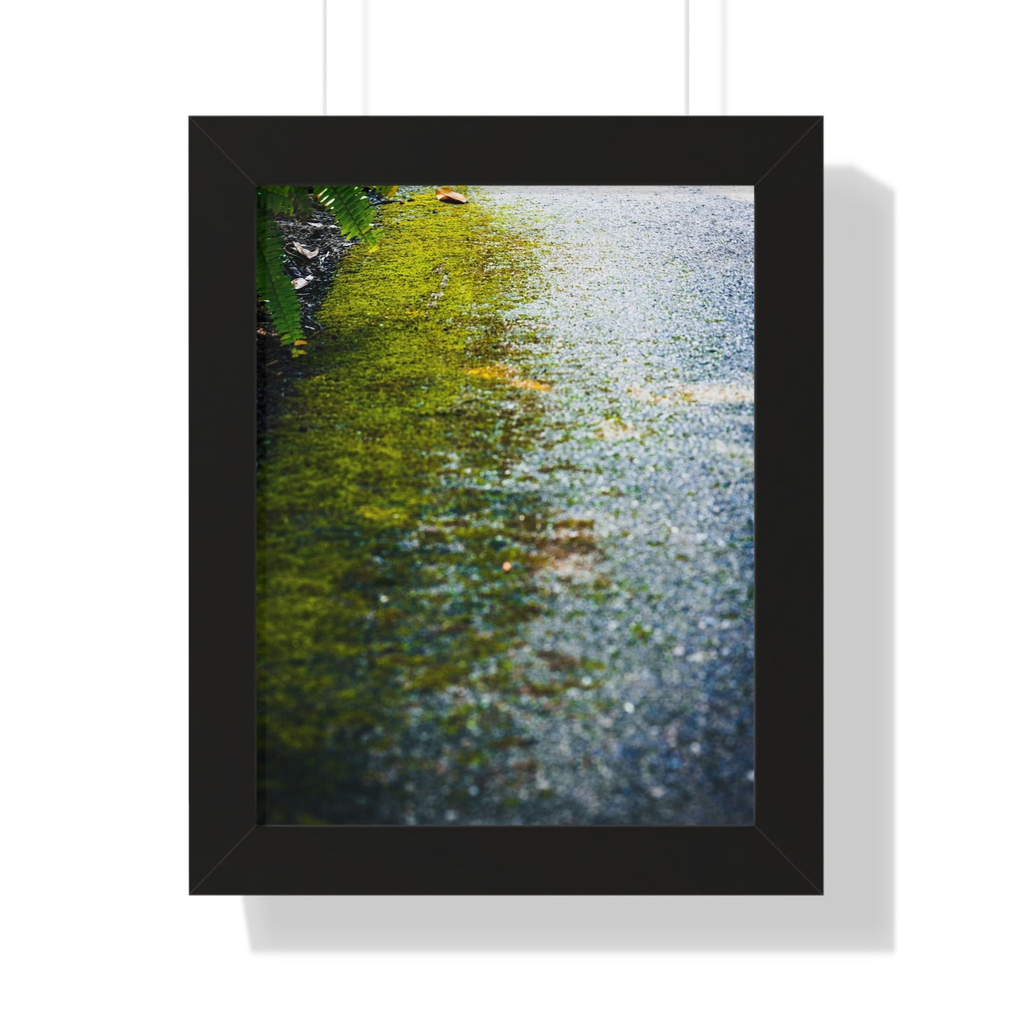 Moss-Covered Pathway Photography Print