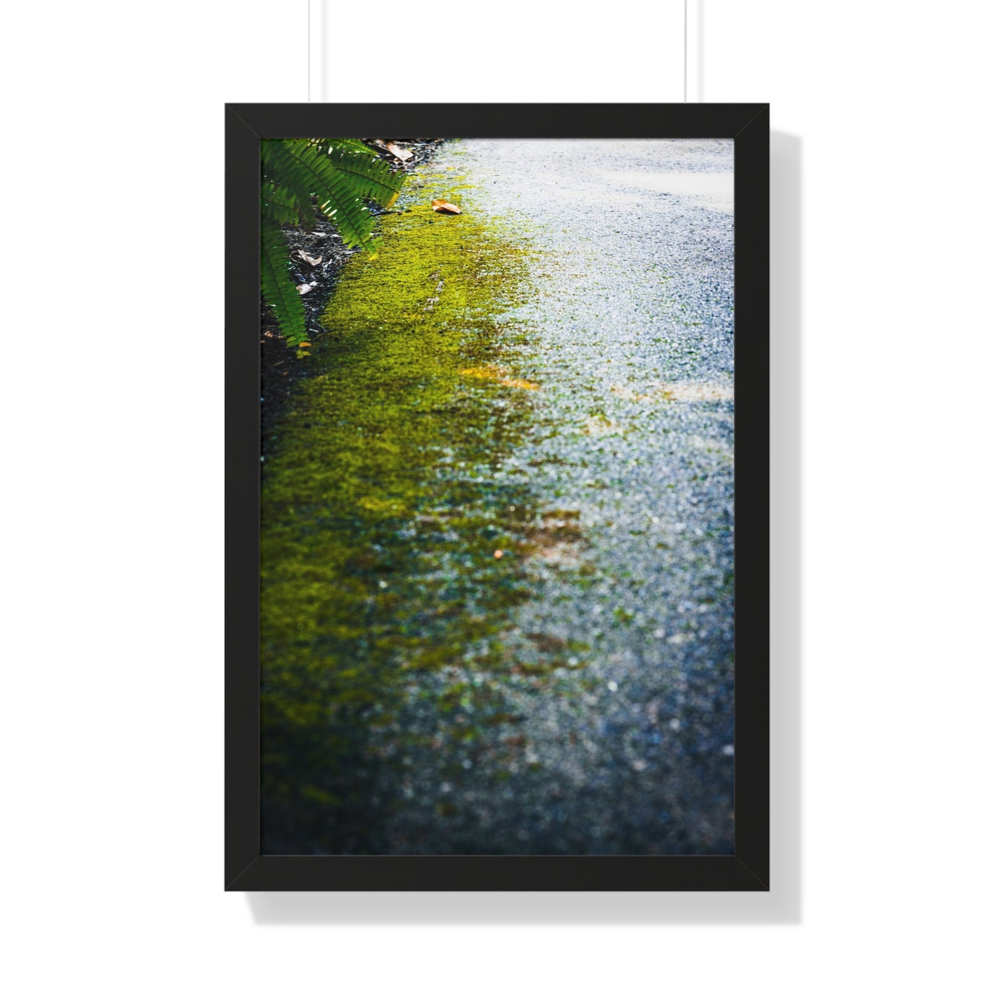 Moss-Covered Pathway Photography Print