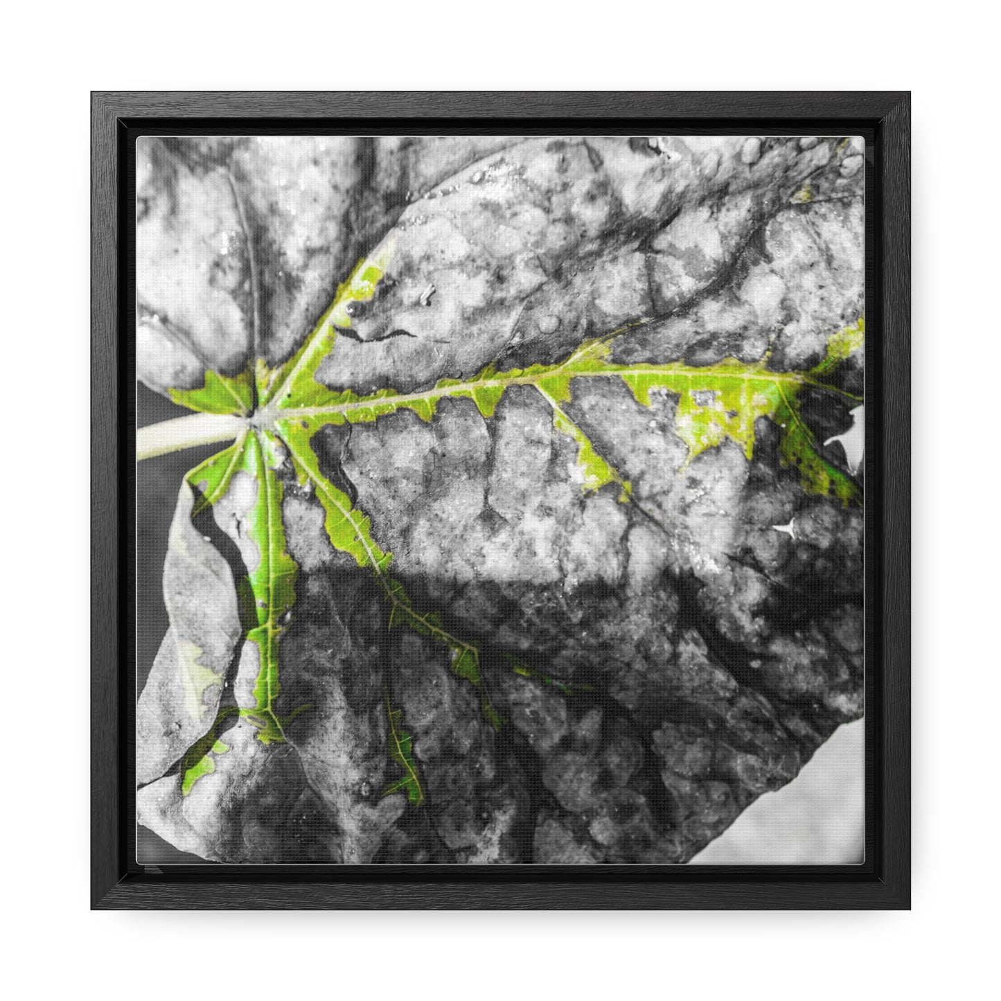 Sloss Furnaces: Fallen Leaf - Canvas Print