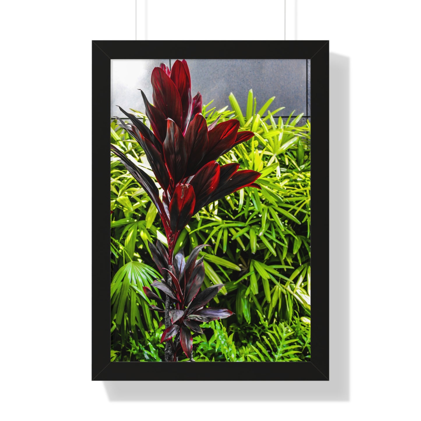 Tropical Elegance: Vibrant Hawaiian Plant - Photography Print