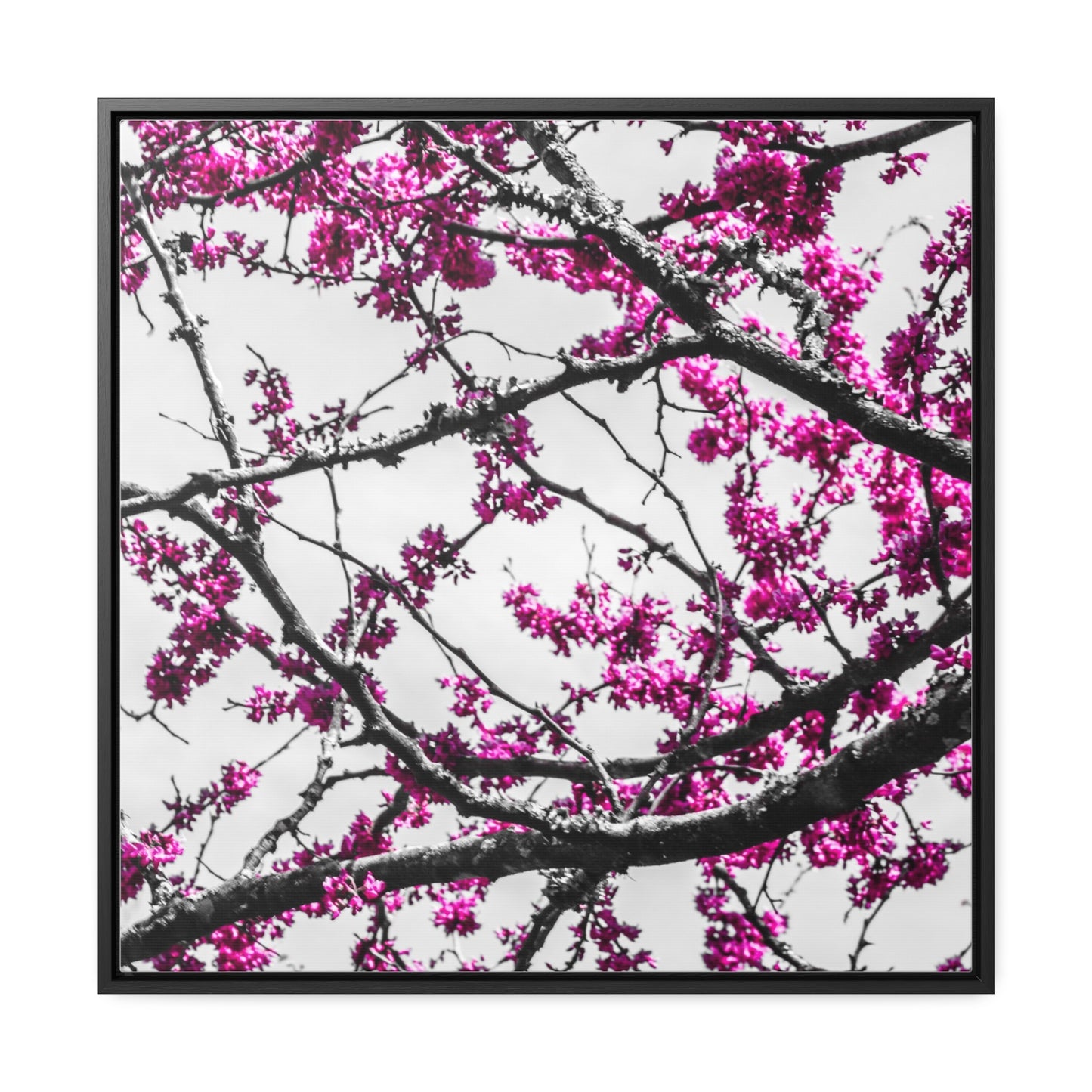 Cheekwood Gardens Land of Purple Home Décor