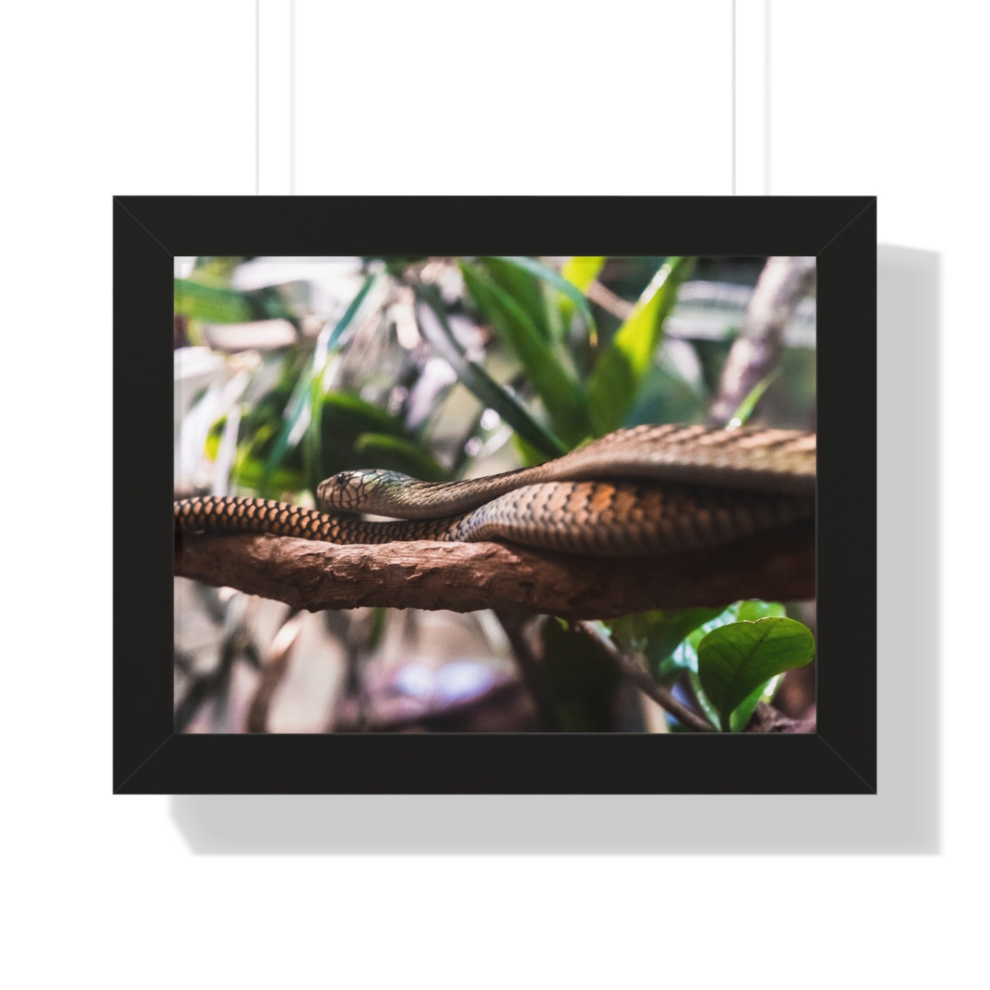 Serpentine Grace: A Snake Among the Foliage - Framed Photography Print