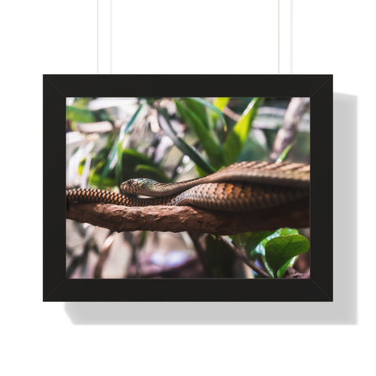 Serpentine Grace: A Snake Among the Foliage - Framed Photography Print