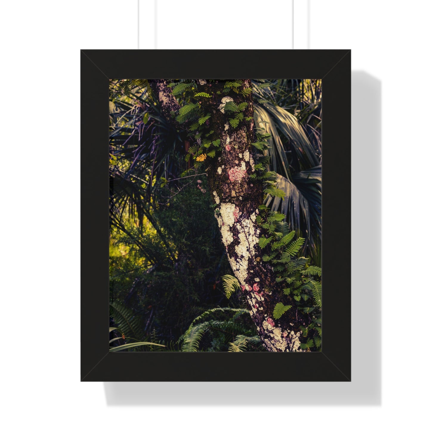Lush Greenery and Ferns Photography Print