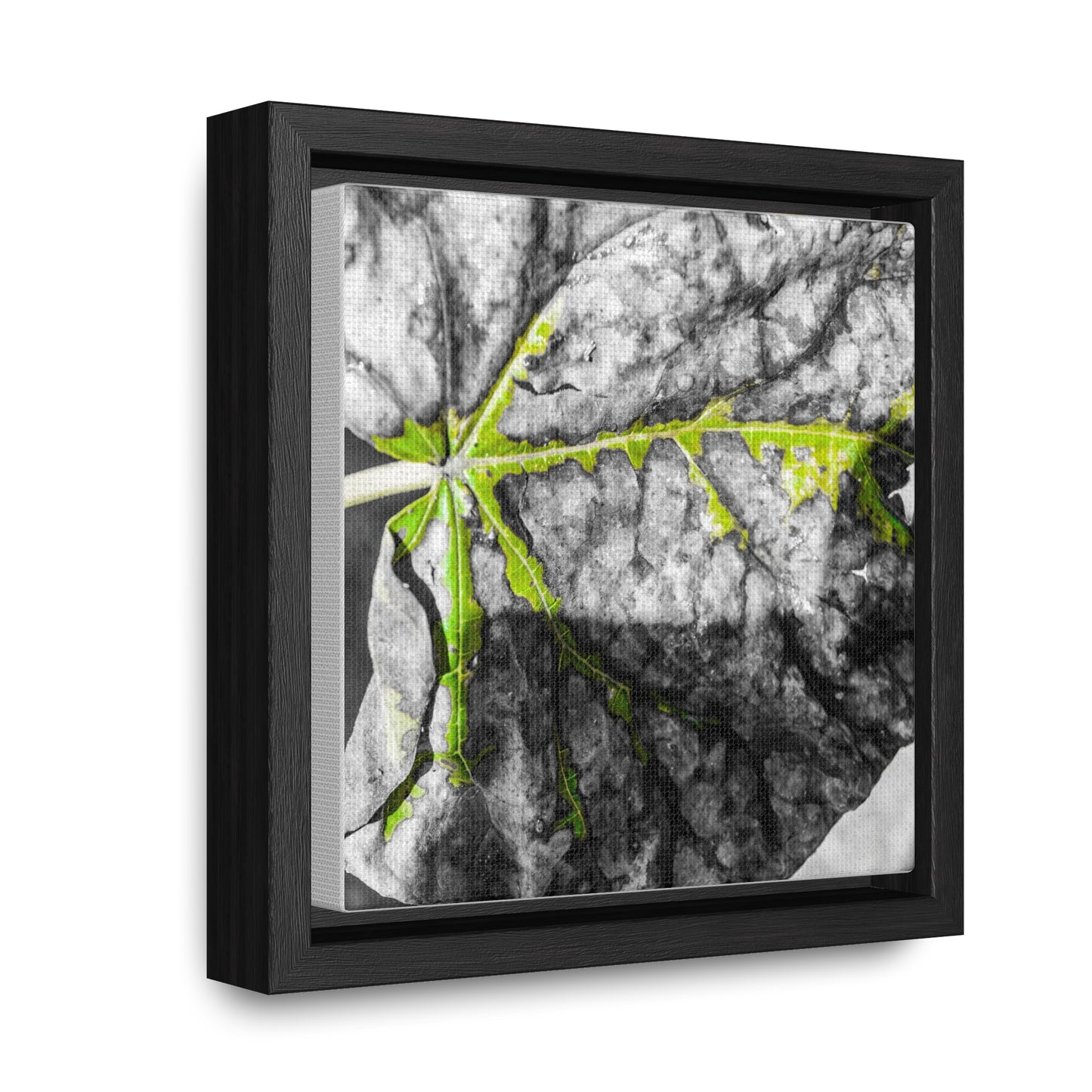 Sloss Furnaces: Fallen Leaf - Canvas Print