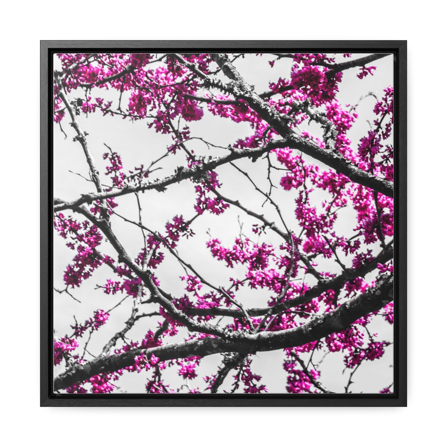 Cheekwood Gardens Land of Purple Home Décor