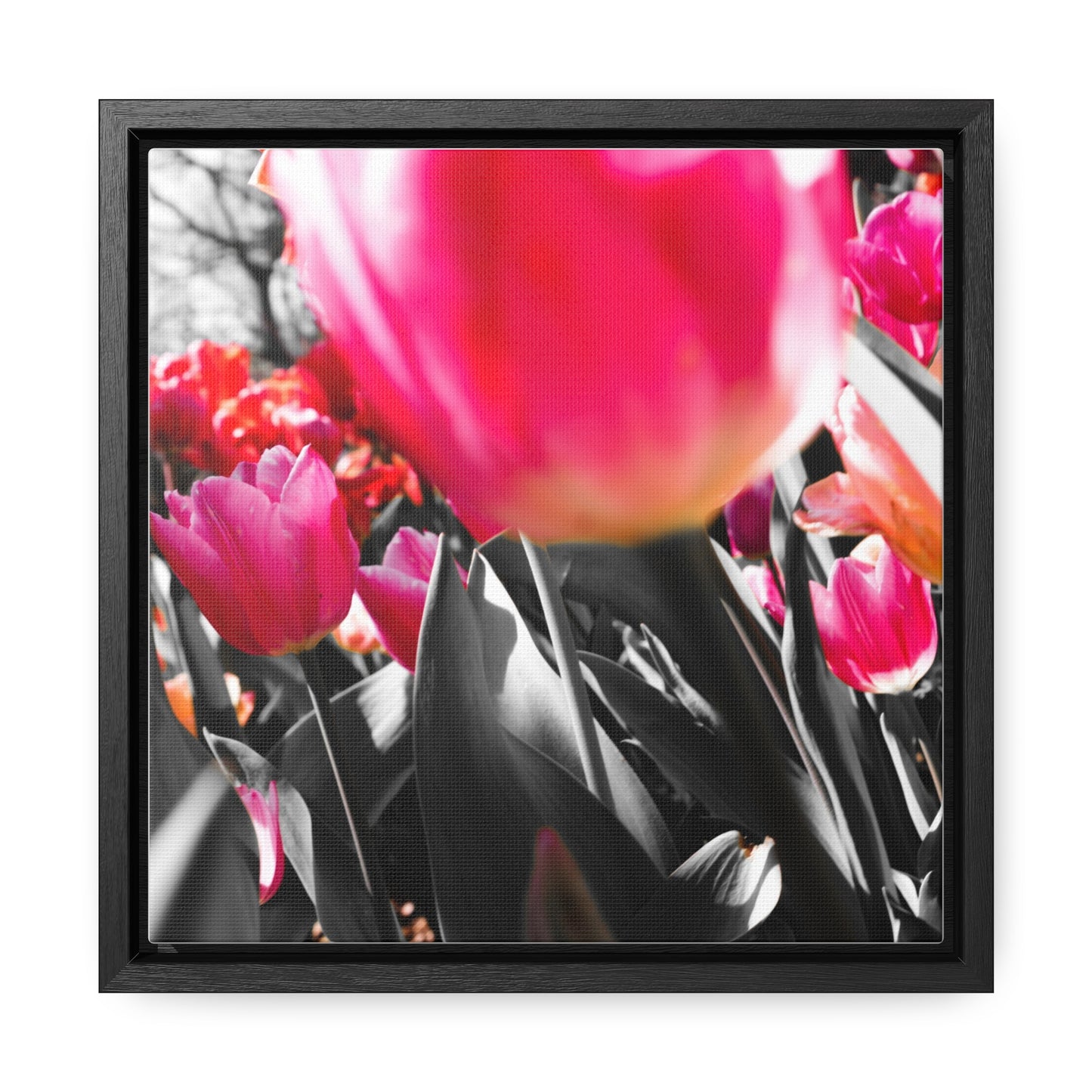 Cheeckwood Gardens Pink Blooms Photography Print