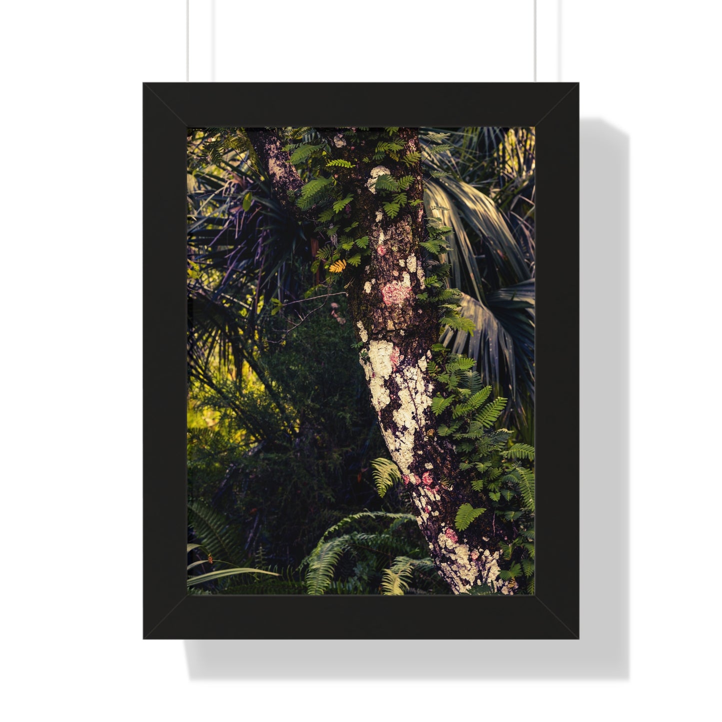 Lush Greenery and Ferns Photography Print