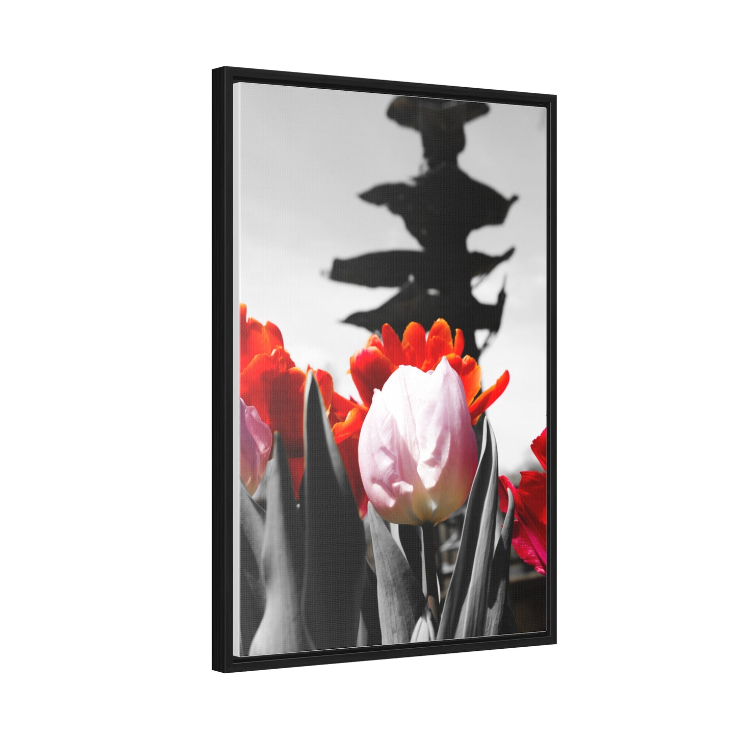 Blooming Pathways at Cheekwood Gardens - Framed Canvas Print