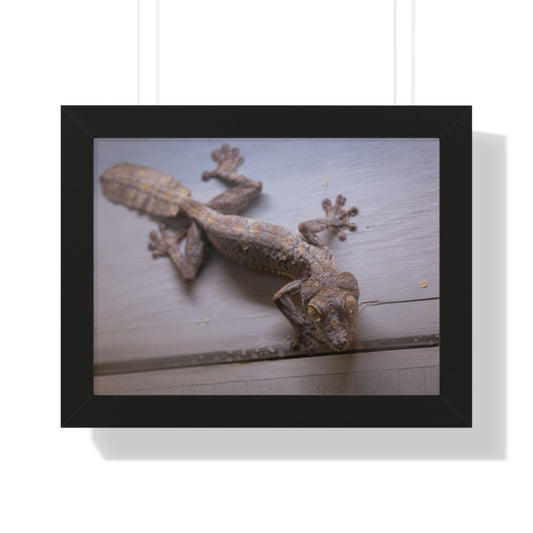 Nature's Camouflage: A Gecko at Rest - Framed Photography Print