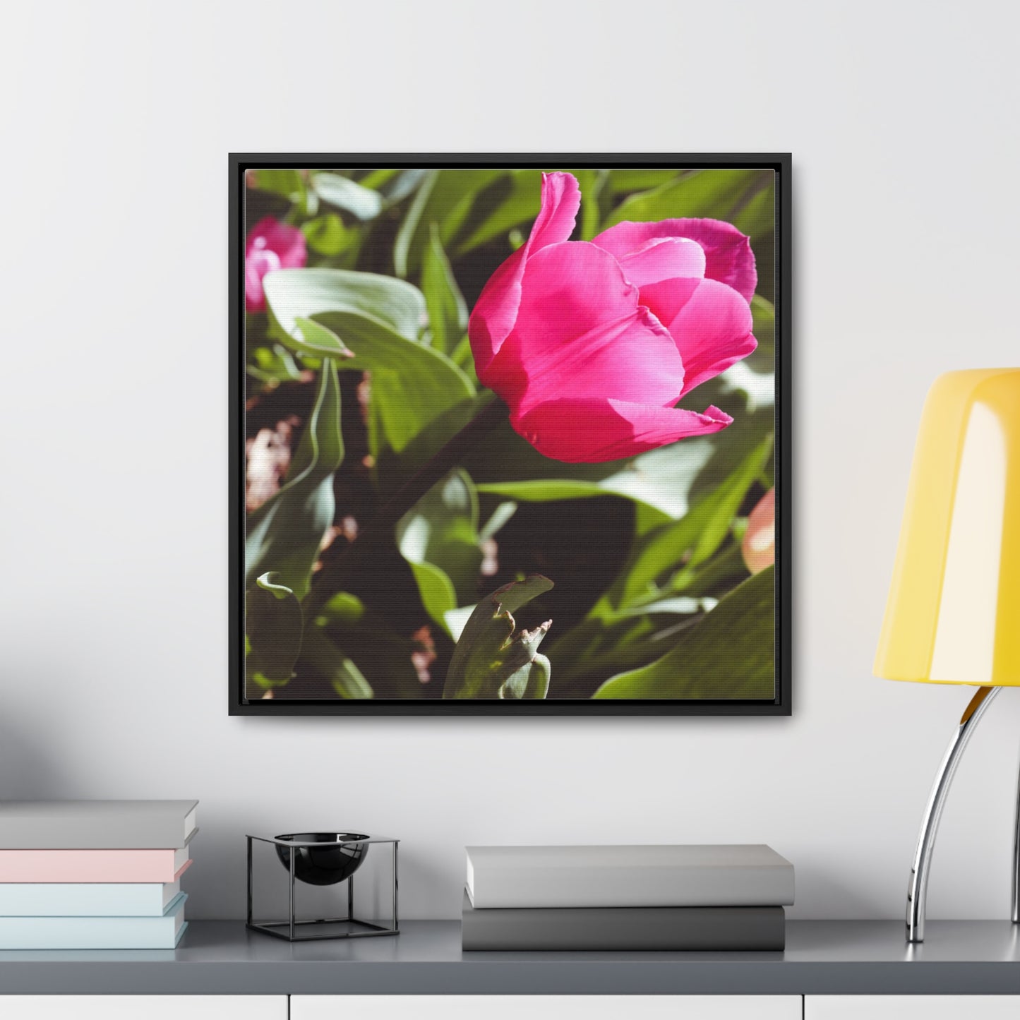 Elegant Pink Tulip at Cheekwood Gardens - Framed Canvas Prin