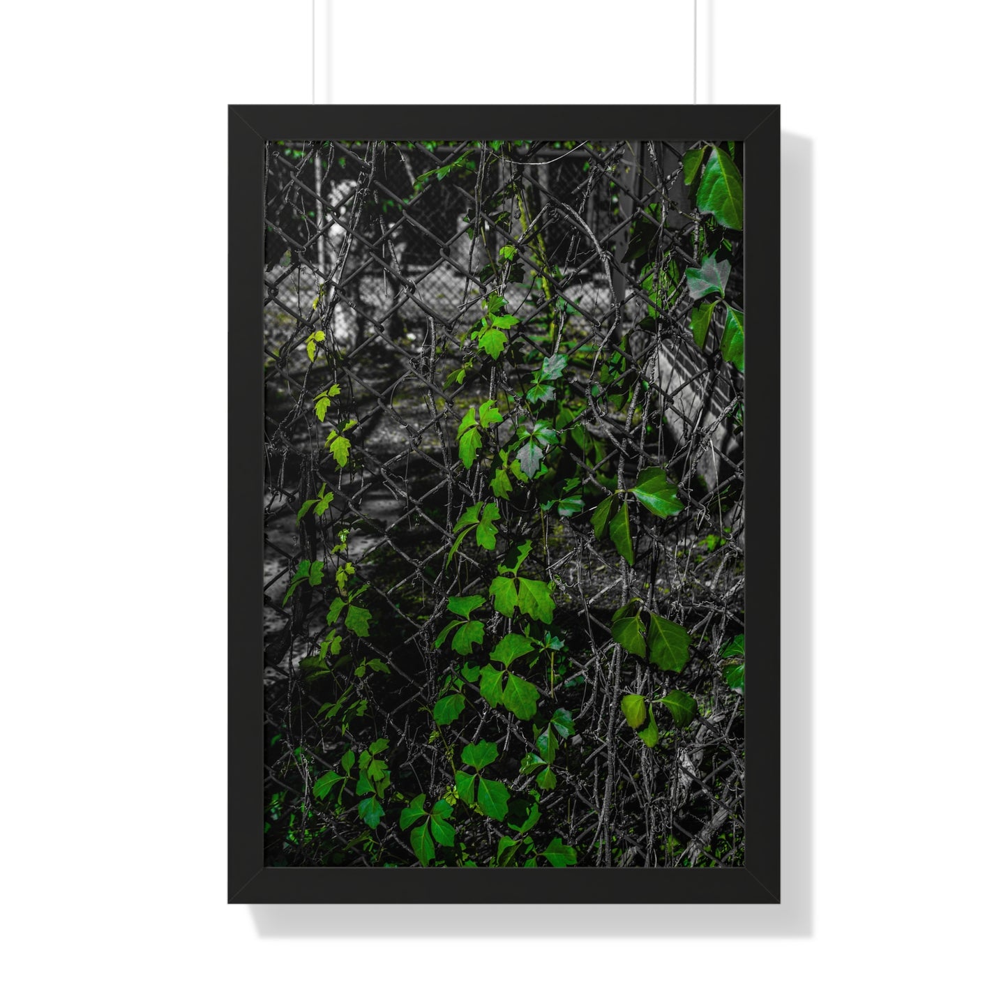 Sloss Furnaces: Vines and Iron - Framed Print