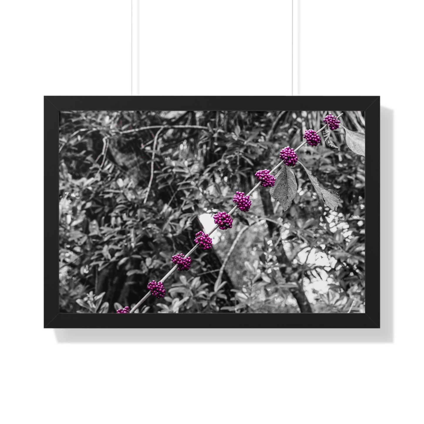 Vibrant Purple Berries Photography Print